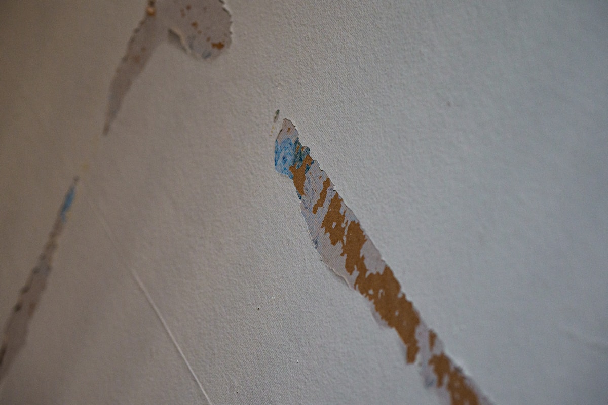 Storm Damage Repair service in Charlotte, NC